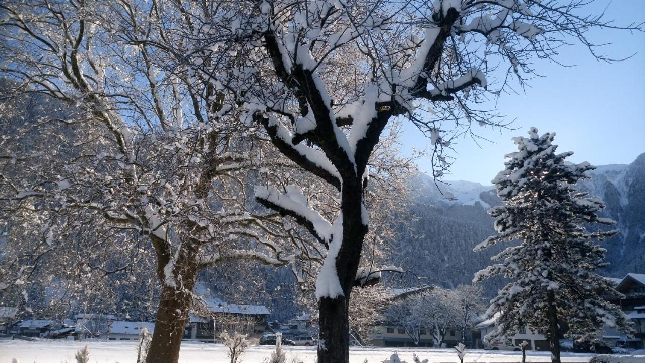 Hotel Garni Birkenhof Майрхофен Экстерьер фото